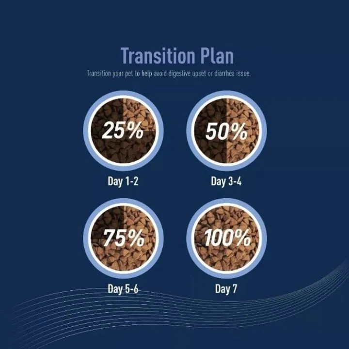 Delizios Premium Dry Cat Food Skin & Coat Care - 1KG